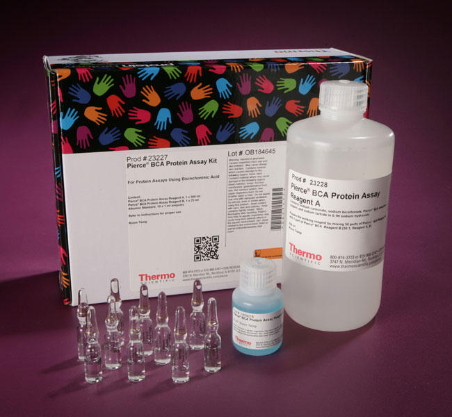 dxy_pierce bca 蛋白检测试剂盒价格_品牌:thermo scientific-丁