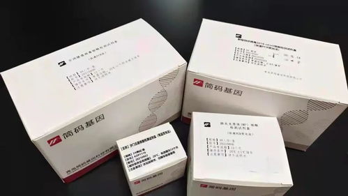 科技赋能 青科大教授团队研究成果护航舌尖上的冬奥