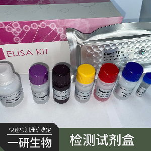 甲型流感病毒h1n1亚型 iav h1n1 核酸检测试剂盒