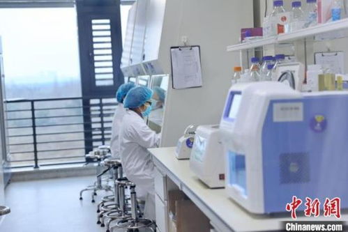 成都企业成功研发西南首个新型冠状病毒检测试剂盒
