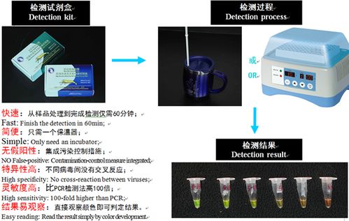 水产动物病原新型检测试剂盒