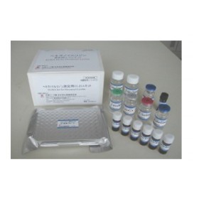 人蛋白酪氨酸磷酸酶受体B(PTPRB)ELISA试剂盒