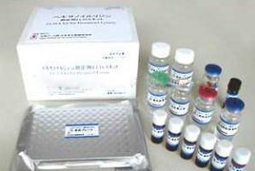 名48T 96T(进口/美国RB TSZ、德国IBL/国产)-产品展示-上海广洛普生物科技