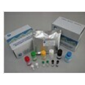 猴核因子κB (NFκB)检测试剂盒