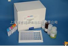 大鼠凝血因子Ⅻ(FⅫ)免疫组化试剂盒-上海雅吉酶联生物科技