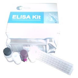 上海 产品 价格第8587页