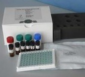 人血管紧张素转化酶(ACE)ELISA检测试剂盒_生物试剂_生物试剂_elisa试剂盒_产品库_中国安防展览网