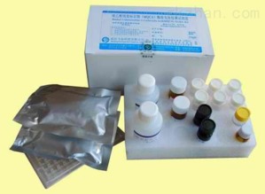 大鼠血管内皮细胞粘附分子1 vcam 1 cd106 elisa检测试剂盒直销